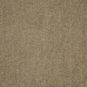 View U1796/KD48 Lichen