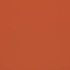 View Rust