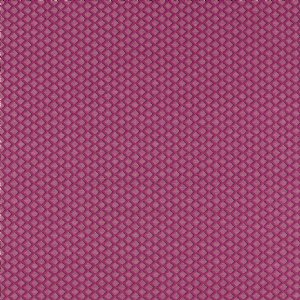 View F1618/05 Raspberry