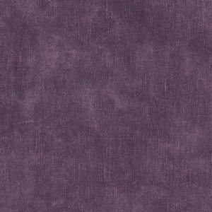 View F1275/21 Grape