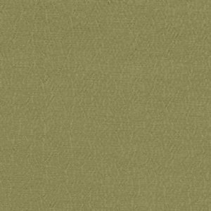View FDG2896/40 Pistachio