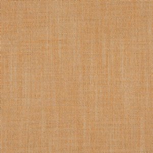 View FDG2701/31 Zinnia