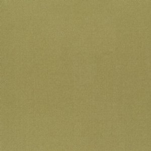 View F1736/43 Olive