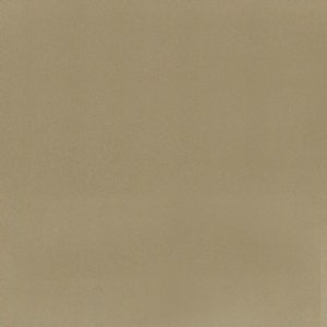 View F1736/62 Pale Gold 