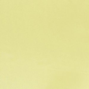 View F1736/86 Alchemilla