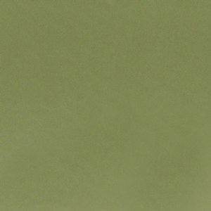 View F1736/88 Elm