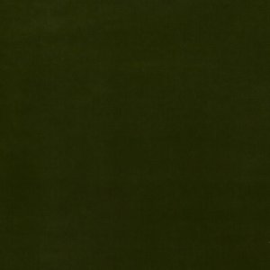 View BF10838.730 Olive