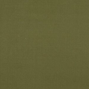 View BF10838.795 Moss