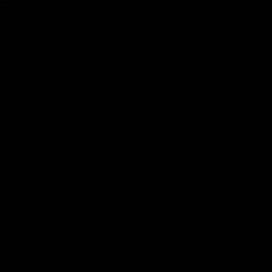 View BF10838.955 Ebony