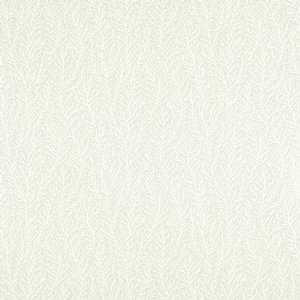 View Diffused Light / First Light 121000