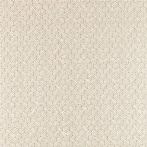 View Raffia 132911