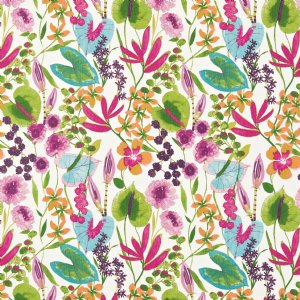 View Flamingo / Papaya / Loganberry 120331