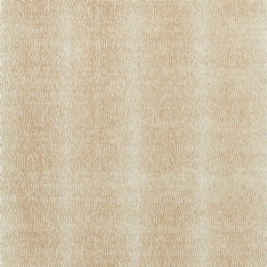 View Pumice 133028
