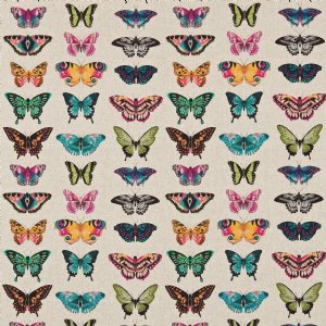 View Flamingo / Papaya / Loganberry 120344