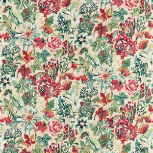 View Positano / Tree Canopy / Tulip 121014