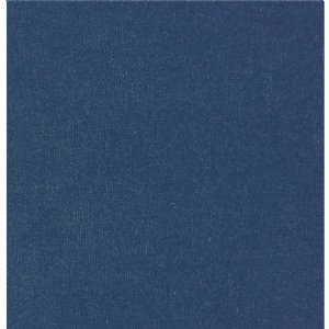 View Blueberry 441012