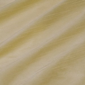 View 31554/85 Narcissus