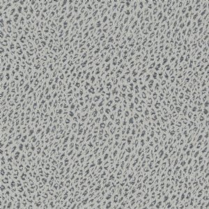View 31665/12 Tidal