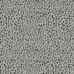 View 31665/13 Snow Leopard 