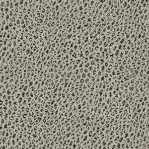 View 31665/14 Serval