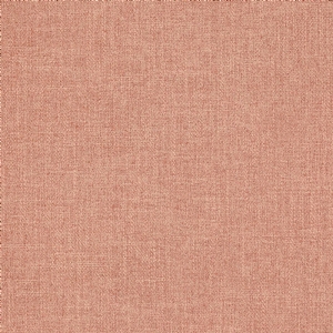 View Salmon J0025-41