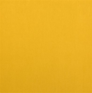 View Gold J896F-32
