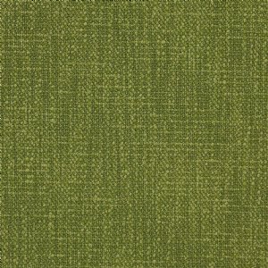 View J0115-08 Forest