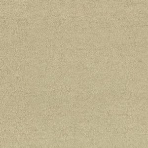 View K5296/06 Putty