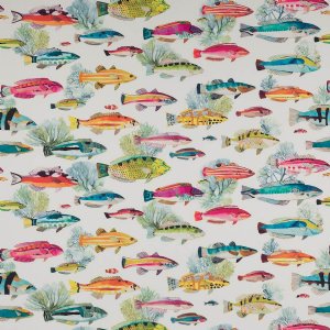 View M4062-02 Corail