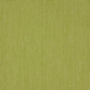 View 04914/07 Cactus