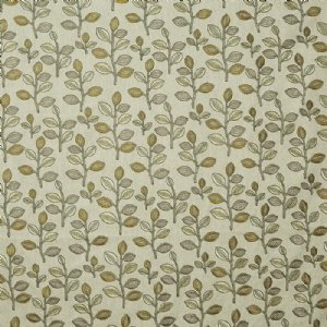 View 3613/811 Mimosa