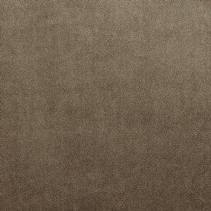 View 7150/141 Camel