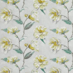 View 7850/02 Cypress