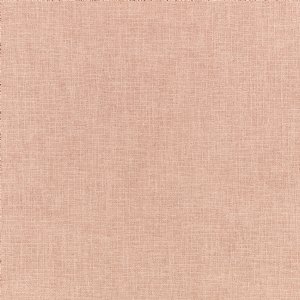 View Kaia Wild Rose