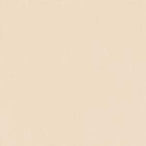 View 2494/06 Parsnip