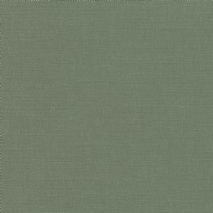 View 2494/249 Spinach