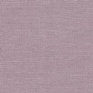 View 2494/334 Allium