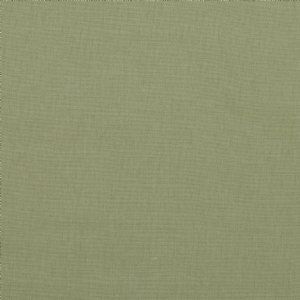 View 2494/471 Chicory