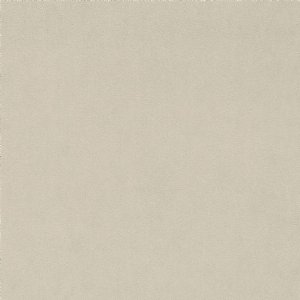 View Snowdrop 237020