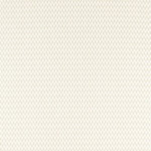 View Silver Fern 236807