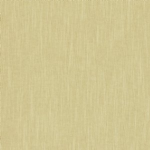 View Sunflower 237096