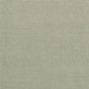 View Grey Squirrel 237125