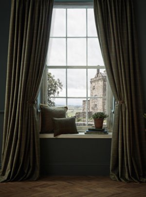 Viewing Rosa by Abraham Moon
