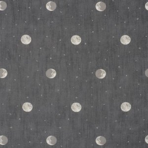 Viewing Over The Moon by Andrew Martin