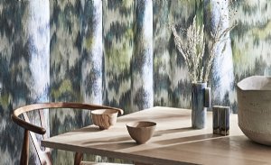 Viewing Hanawa by Black Edition