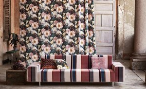 Viewing Herbaria by Black Edition