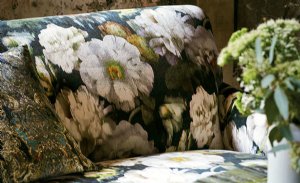 Viewing Herbaria by Black Edition