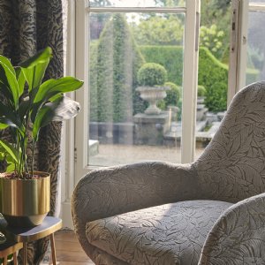 Viewing Selva by Clarke & Clarke