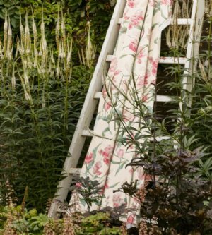 Viewing Primavera Cotton by Colefax & Fowler