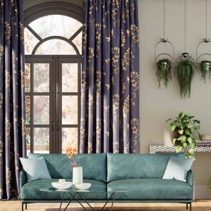 Viewing Amazilia 1 by Harlequin